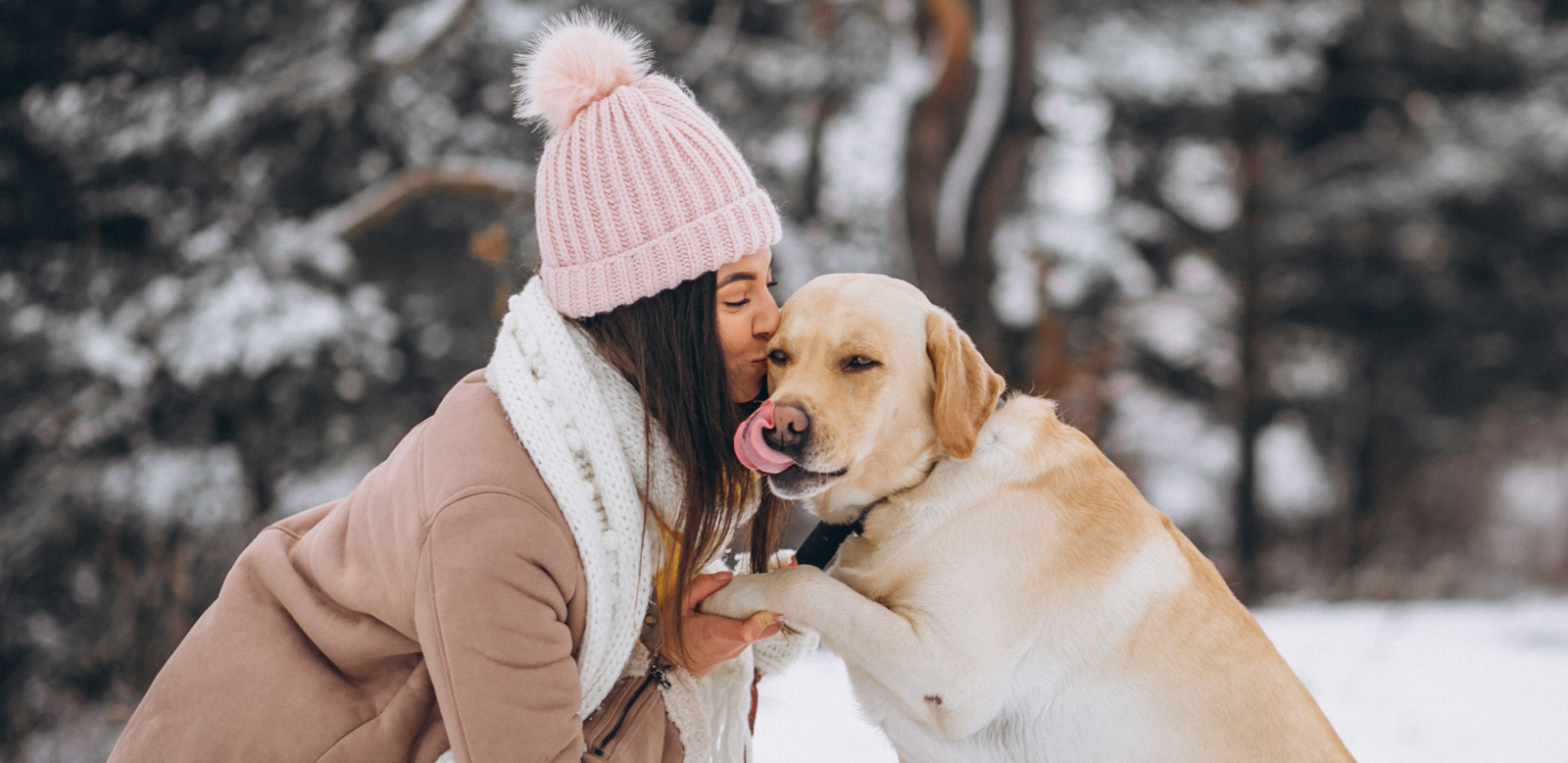 woman kissing her labrador in the snow medium