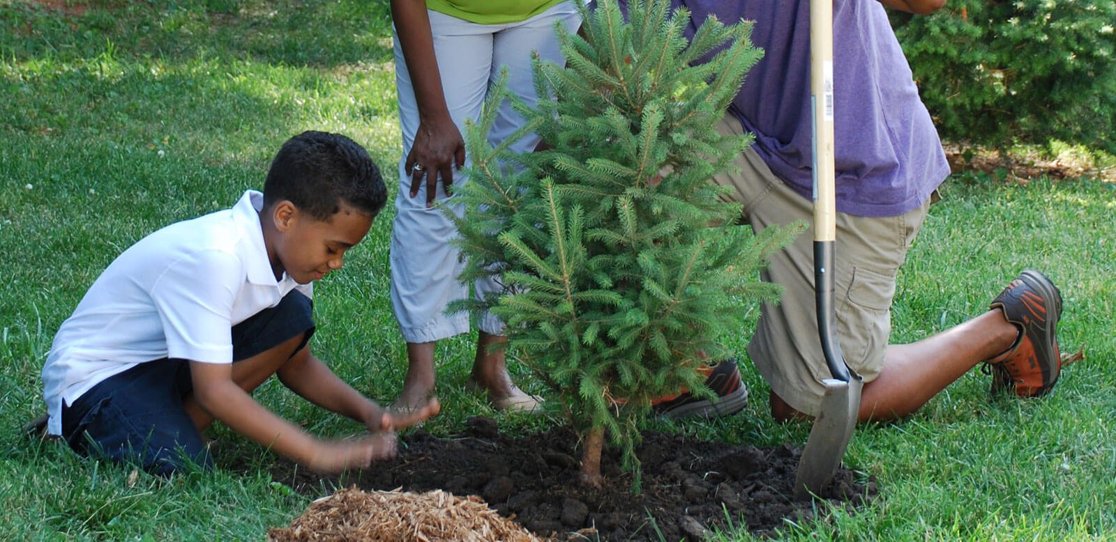 child planting and caring for a tree