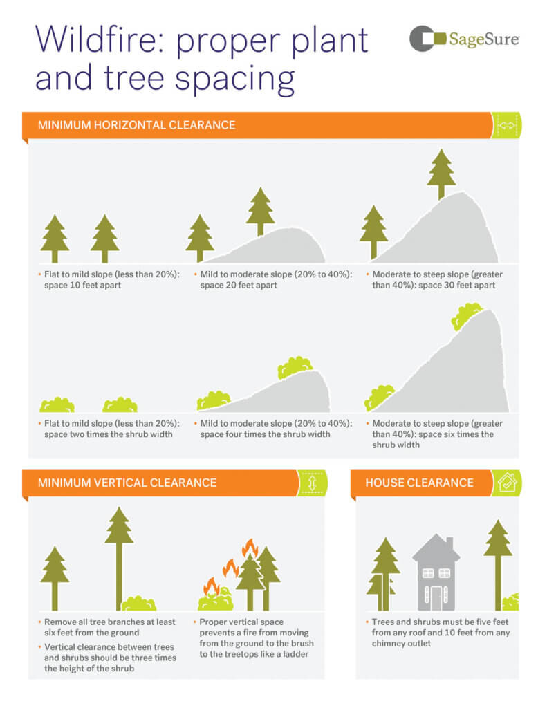 Planning tree spacing graphic