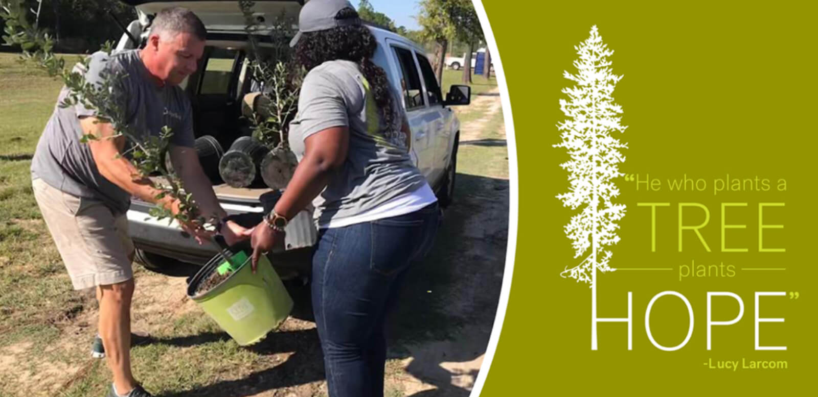 Planting a tree