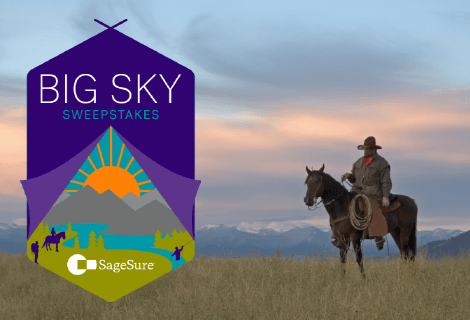 Big Sky Montana guy on horse