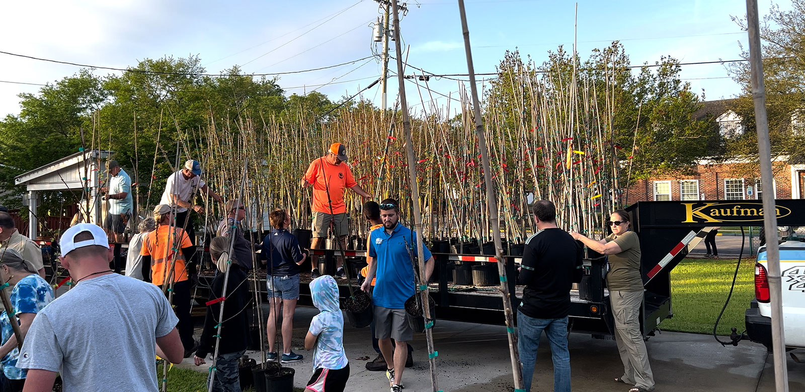 Free trees distributed in coastal community of Myrtle Beach