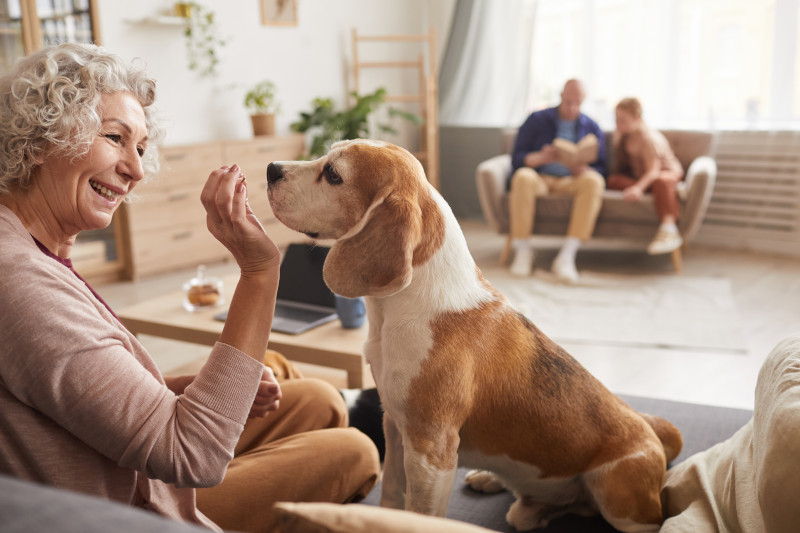 dog and owner