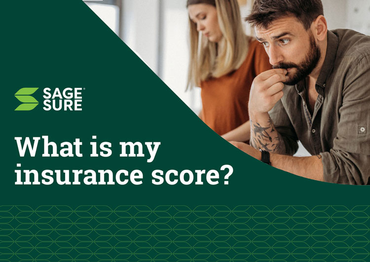What is my insurance score thumbnail