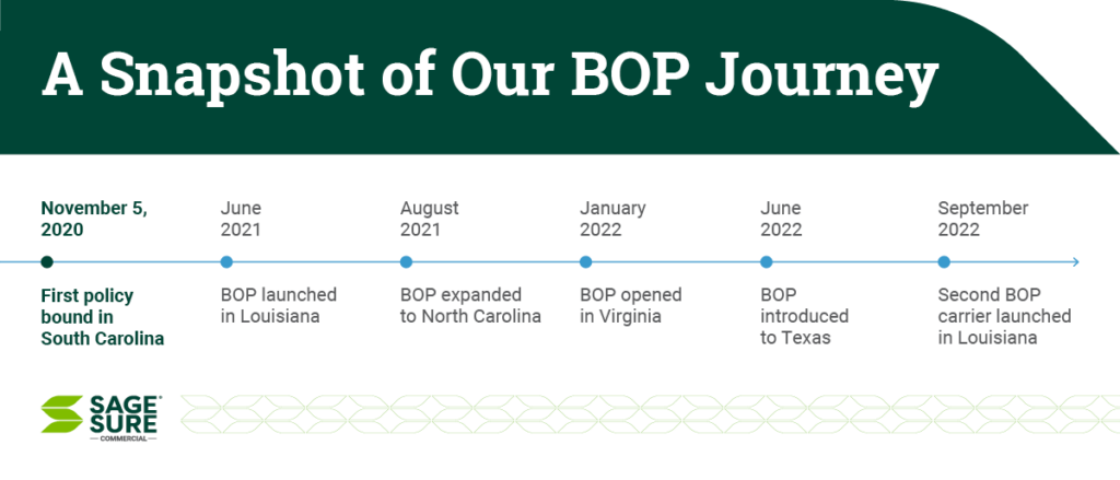 BOP Journey infographic